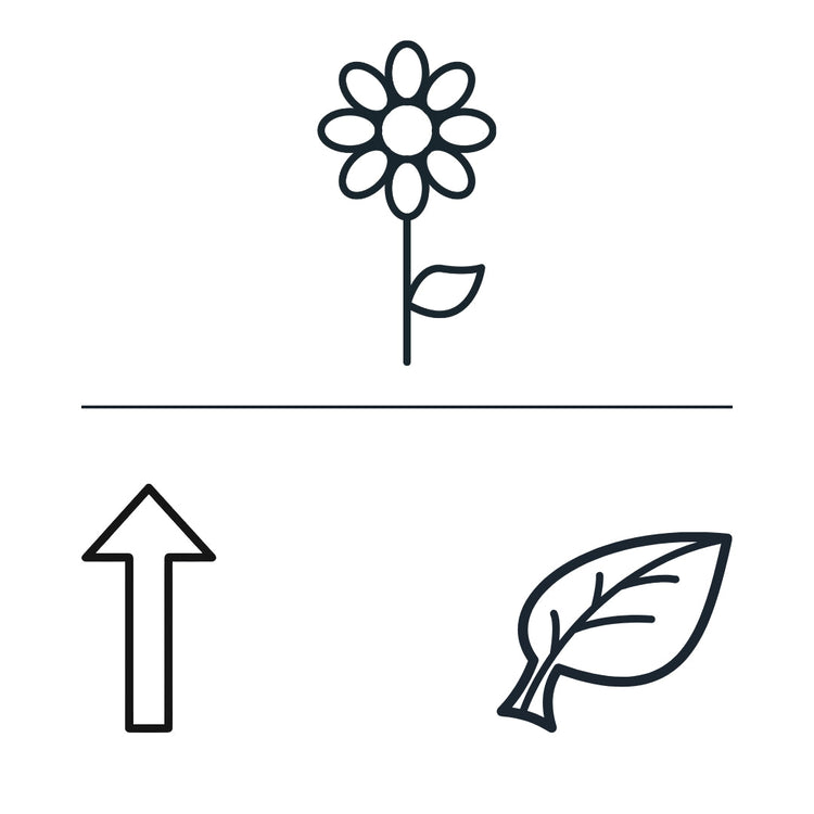 Entfaltung - Wortstolz Design